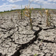 Illustration for article titled Drought grips Latin America and the Caribbean